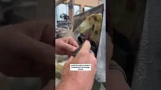 We carved our own Jade Stone in New Zealand