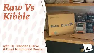 Raw VS Kibble | Raw Pet Food Diet | Bella & Duke