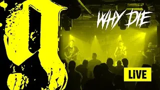 Why Die &ndash; Goblinz (LIVE) | Awakening Fest 2024