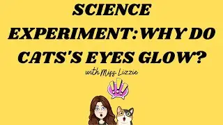 STEM: Why Do Cats' Eyes Glow? With Miss Lizzie