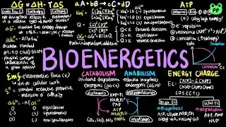 Bioenergetics | Principles of Metabolism 01 | Biochemistry | PP Notes | Lehninger 6E Ch.13