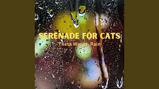 Radiant Rainful Serenade for Cats Theta Waves