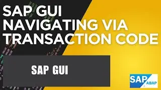 14 - SAP GUI | SAP SCREEN NAVIGATION via TCODE | Transaction code SAP | SAP in Hindi