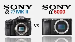 Sony a77 II Vs Sony a6000