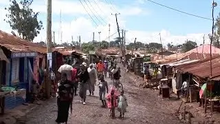 Engineers Without Borders