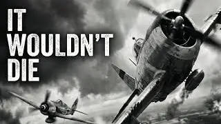 The Plane the Luftwaffe Couldn&rsquo;t Kill &ndash; You Won&rsquo;t Believe Why