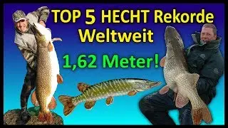 Top 5 Rekord HECHTE WELTWEIT | 1,62 Meter Hecht!