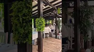 Serdika Restaurant in Sofia 🍽 #restaurant #sofia #bulgaria #travel #dailyvlog #daily #travelvlog