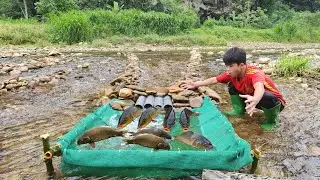 The boy Lam's fishing skills, using PVC pipes and nets to make fish traps.