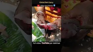 Fish Curry Recipe || Chital mach || chital fish curry recipe 😋 #shortsvideo #youtube #youtubeshorts
