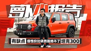 有缺点 但性价比依然拒绝不了的坦克300 | 萝卜小报告