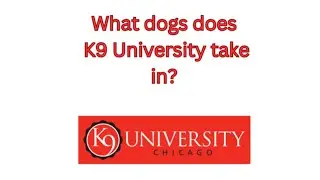 All Dogs Are Good Dogs &mdash; The K9 University Philosophy | K9 University Chicago