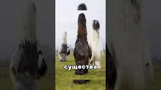 Странные существа, заснятые по всему миру! #mystery #факты #facts #shorts