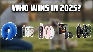 The Top 5 Best E Collar For Small Dogs in 2025 - Must Watch Before Buying!