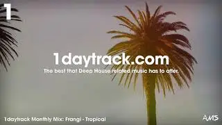 Monthly Mix February '19 | Frangi - Tropical | 1daytrack.com