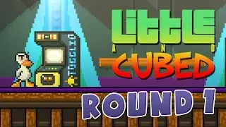 Little And Cubed: Duck Game Multiplayer (Round 1)