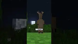 this is not a deer