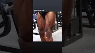 Williams Falade - Reflex