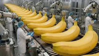 Inside a Fresh Banana Bread Processing Plant: From Fresh Fruit to Perfect Baking (Complete Process)