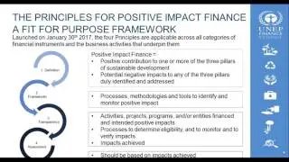 Webinar: Incorporating ESG into Investment Strategies