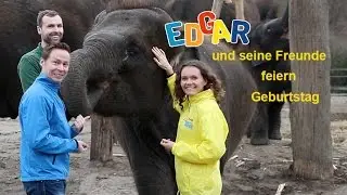 EDGAR und seine Freunde feiern Geburtstag | Radio TEDDY