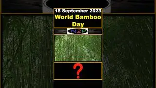 Important Days | World Bamboo Day #shorts #youtubeshorts #news2pass #fact  #motivation #festivals