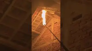 Bakar rumah tawon