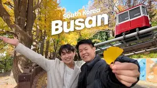 🇰🇷 Пусан – это здорово! 4-дневный маршрут с 24-часовым проездным в Пусане 🎟️