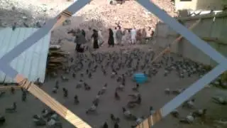 --EXCLUSIVE-- Sheikh Maaher Mu'ayqali ~ 12th Night 1433, LIVE Du'aa Recording (With LIVE Pics)