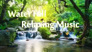 Relaxing Music &ndash; Soft Relaxation Music with Water Sounds &ndash; Spa, Meditation, Yoga Peace