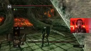 The most frustrating death I've ever had in a Deathless run