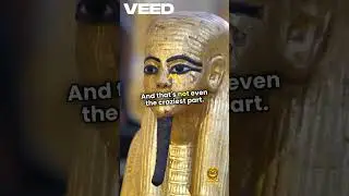 This Mummy Has a Passport?! 🤯 | Ramesses II's Wild Afterlife Story #shorts