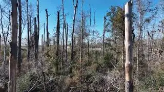 Mavic 3 Testing Collision avoidance