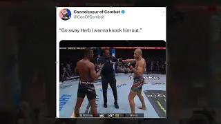 ALEX PEREIRA VS JAMAHAL HILL 😱 BEST MEMES #funny