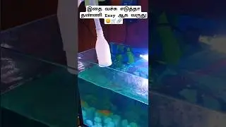 🐟 இனி Fish tank ல தண்ணி எடுக்கலாம் Easy ஆ 😱⁉️Fish tank cleaning hose review #products #fishtank #dip