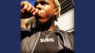 Marcus Vick