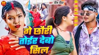प्रिंस प्रिया नया धमाकेदार सॉन्ग Ge Chori Tohar Toiyr Debo Sil #Prince Priya Ka Gana Nonstop #DjSong