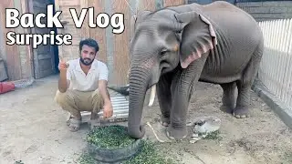 Finally Back After Turab Marriage With Surprise || Shehr Main Dihat