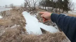 Spring Beaver Trapping - Scouting