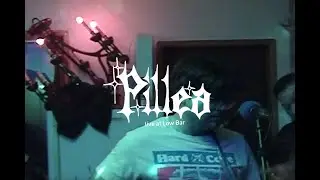 Pillea - Live at Low Bar