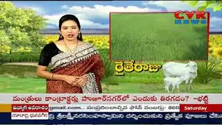 Rice Nutrient management in Paddy
