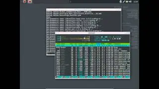 Обзор CrunchBang GNU/Linux 11