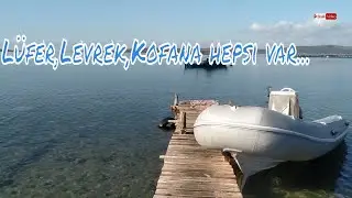 KOFANA LEVREK BALIK ORTASINDA KALDIK....