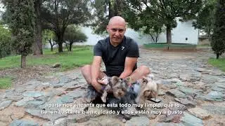 &iexcl;Disfruta paseos con tus mascotas de forma segura en los Parques #PetFriendly!