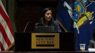 Beyond the Headlines: Examining the Undoing of DACA and TPS and the Legal Response in New York