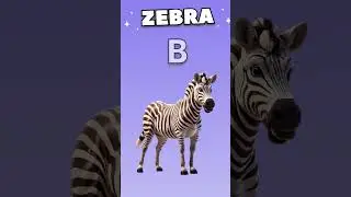 learning with funny #zebra #cartoon for #kids
