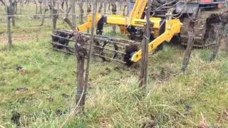 Prova in vigna decompattatore AGRISEM Cultiplow 15  (1)