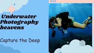 Top Underwater Photography Destinations: Australia, Iceland, Mexico, and Egypt
