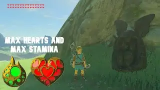 How To Get Max Hearts And Max Stamina In BotW