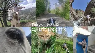 Dikyar Gezisi | Hafta sonu vlog. Hira Demirci
